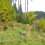 Sonnenhügel * Wildemann