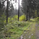 Sonnenhügel