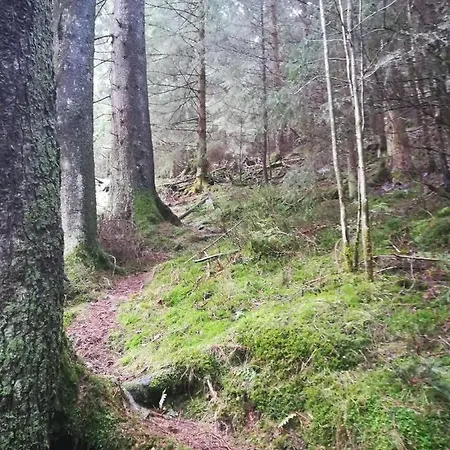 Apartament Sonnenhuegel *