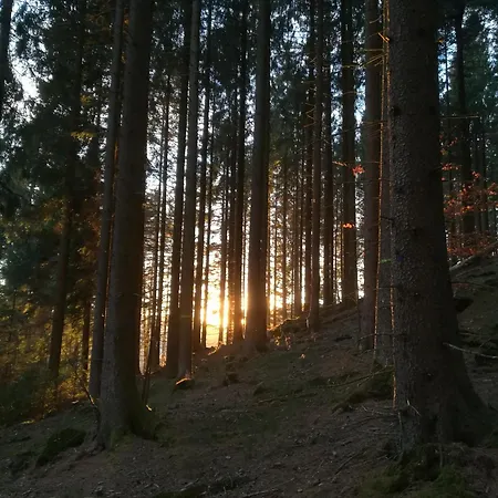 Sonnenhuegel Apartament Wildemann