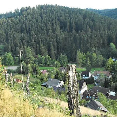 Appartement Sonnenhuegel *