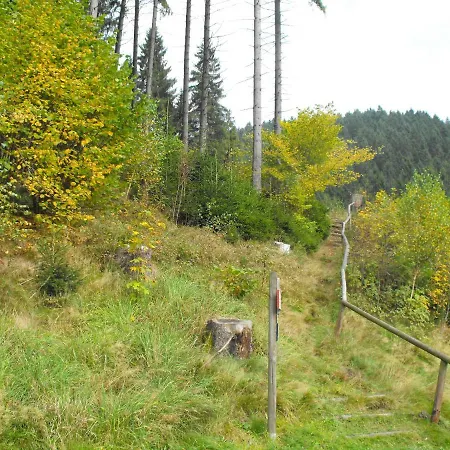 Sonnenhuegel * Wildemann