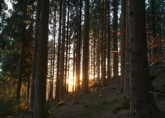 Sonnenhuegel Appartamento Wildemann