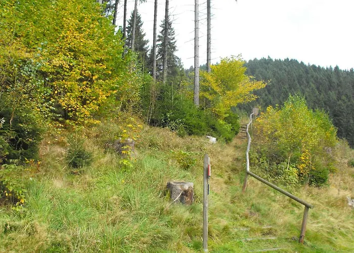 Sonnenhuegel * Wildemann